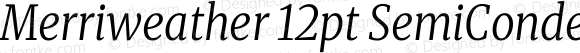 Merriweather 12pt SemiCondensed Light Italic