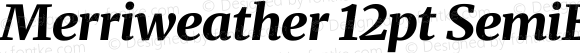 Merriweather 12pt SemiExpanded Black Italic
