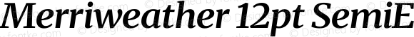 Merriweather 12pt SemiExpanded Bold Italic
