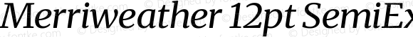 Merriweather 12pt SemiExpanded Italic