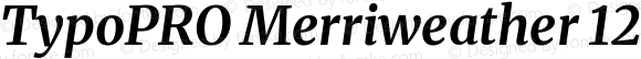 TypoPRO Merriweather Text Regular