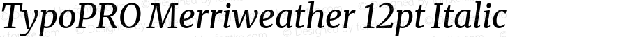 TypoPRO Merriweather 12pt Italic