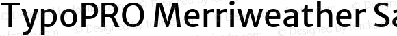 TypoPRO Merriweather Sans Regular