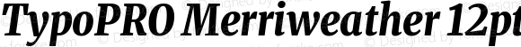 TypoPRO Merriweather 12pt SemiCondensed Black Italic