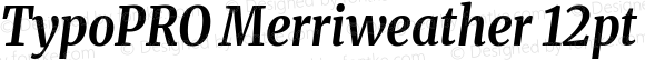 TypoPRO Merriweather 12pt SemiCondensed Bold Italic