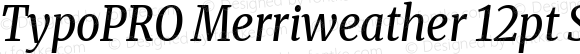 TypoPRO Merriweather 12pt SemiCondensed Italic