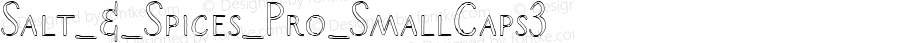 Salt_&_Spices_Pro_SmallCaps3 ☞ 1.000;com.myfonts.easy.fontforecast.salt-spices-pro.sc3.wfkit2.version.4kSL