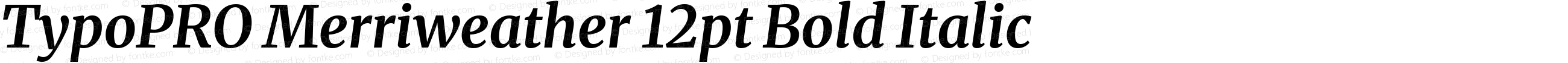 TypoPRO Merriweather 12pt Bold Italic