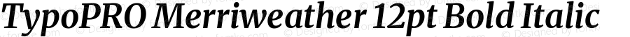 TypoPRO Merriweather 12pt Bold Italic