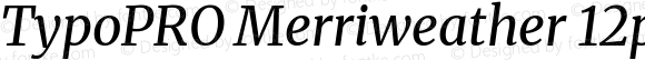 TypoPRO Merriweather Text Regular