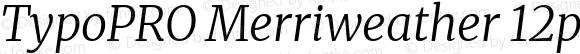 TypoPRO Merriweather Text Light