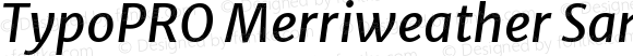 TypoPRO Merriweather Sans Italic