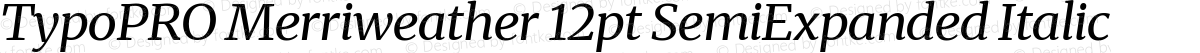 TypoPRO Merriweather 12pt SemiExpanded Italic