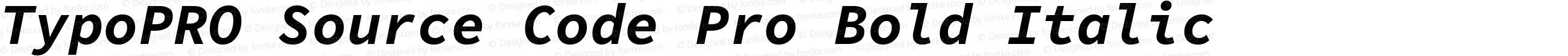 TypoPRO Source Code Pro Bold Italic