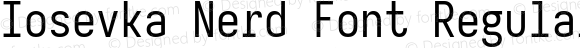 Iosevka Nerd Font Regular