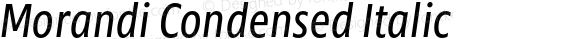 Morandi Condensed Italic