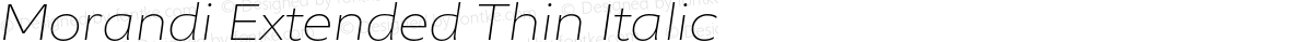 Morandi Extended Thin Italic