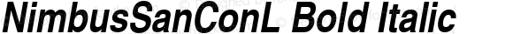 NimbusSanConL Bold Italic