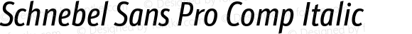 Schnebel Sans Pro Comp Italic