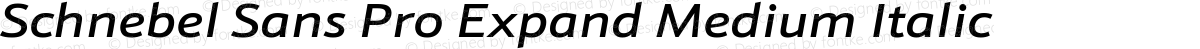 Schnebel Sans Pro Expand Medium Italic