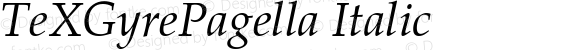 TeXGyrePagella Italic