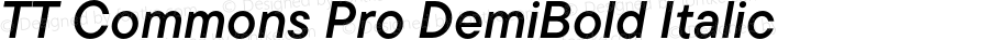 TT Commons Pro DemiBold Italic
