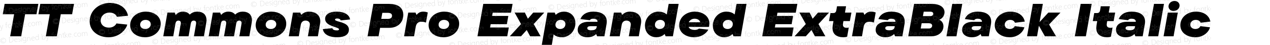 TT Commons Pro Expanded ExtraBlack Italic