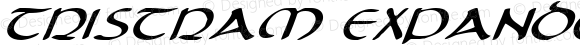 Tristram Expanded Italic Expanded Italic