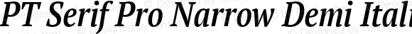 PT Serif Pro Narrow Demi Italic