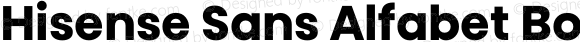 Hisense Sans Alfabet Bold