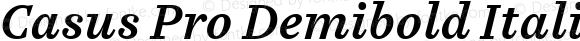 Casus Pro Demibold Italic