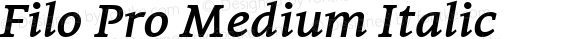 Filo Pro Medium Italic