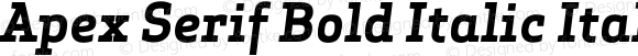 Apex Serif Bold Italic Italic