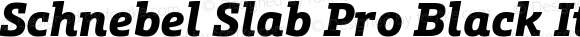 Schnebel Slab Pro Black Italic