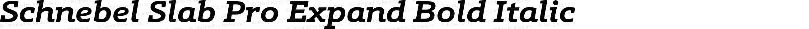 Schnebel Slab Pro Expand Bold Italic