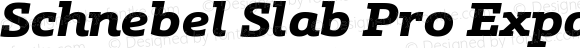 Schnebel Slab Pro Expand Black Italic