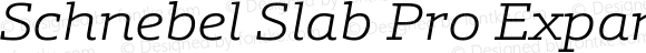 Schnebel Slab Pro Expand Light Italic