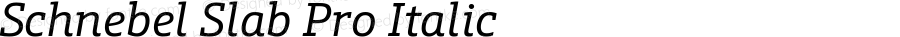 Schnebel Slab Pro Italic