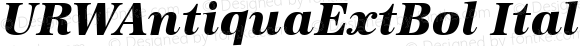 URWAntiquaExtBol Italic
