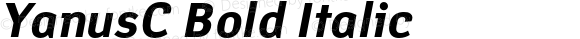 YanusC Bold Italic