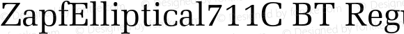 ZapfElliptical711C BT Regular