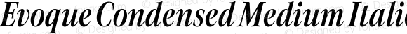 Evoque Condensed Medium Italic
