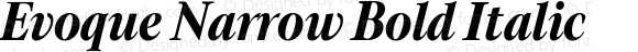 Evoque Narrow Bold Italic