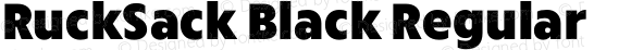 RuckSack Black Regular