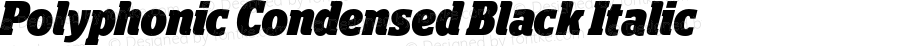 Polyphonic Condensed Black Italic