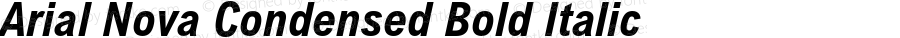 Arial Nova Condensed Bold Italic