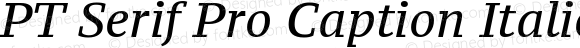 PT Serif Pro Caption Italic
