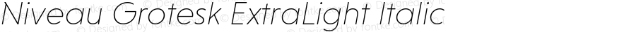 NiveauGroteskExtraLight-Italic