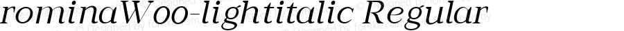 romina W00 light italic