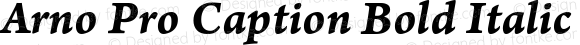 Arno Pro Caption Bold Italic